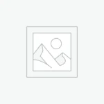Donec vel nunc sit amet tellus cursus